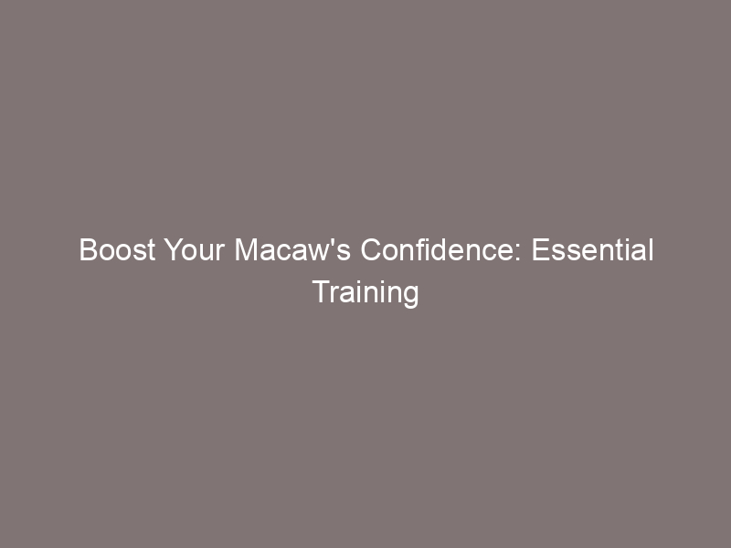 Boost Your Macaw's Confidence: Essential Training Tips Unveiled!