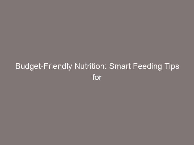Budget-Friendly Nutrition: Smart Feeding Tips for Your Macaw