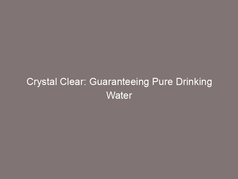 Crystal Clear: Guaranteeing Pure Drinking Water for Macaws