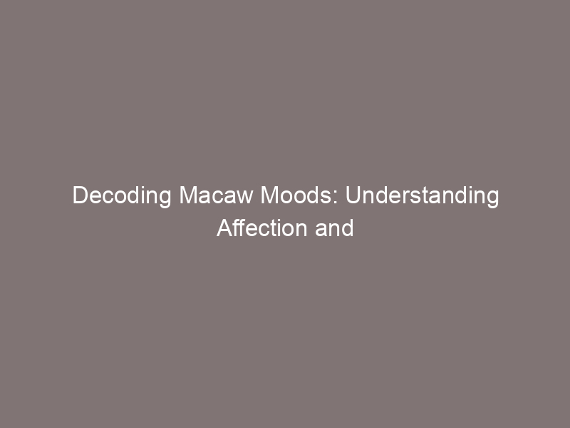 Decoding Macaw Moods: Understanding Affection and Aggression