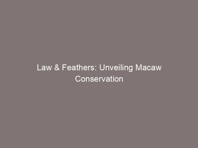 Law & Feathers: Unveiling Macaw Conservation Legislation