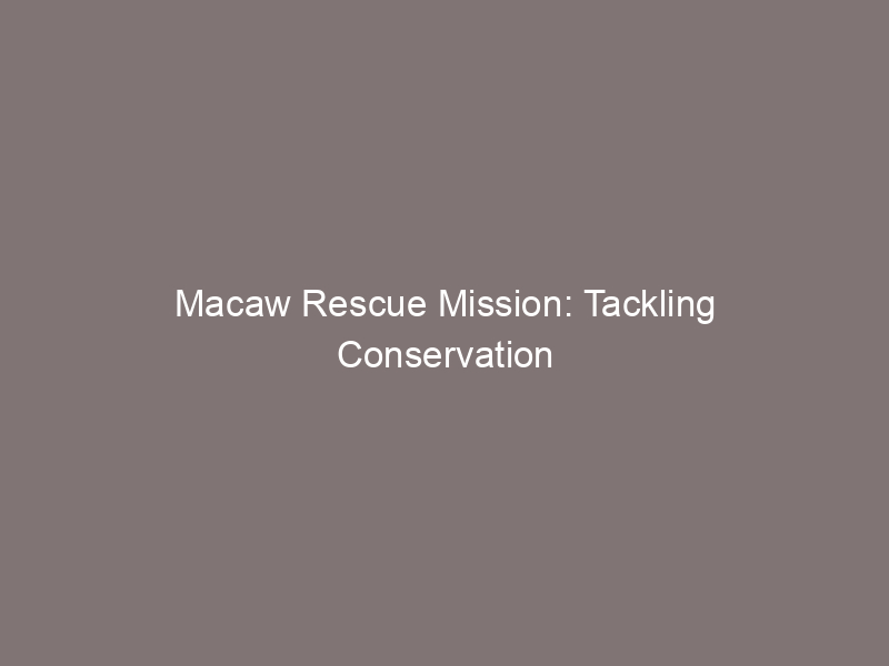 Macaw Rescue Mission: Tackling Conservation Challenges Head-On