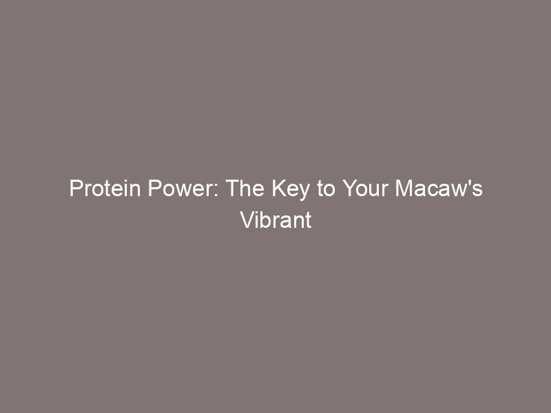 Protein Power: The Key to Your Macaw's Vibrant Health
